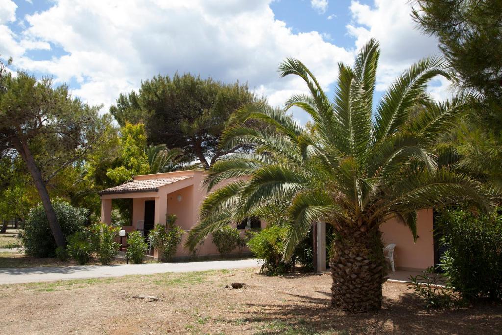 Villaggio Turistico Scialmarino Vieste Bilik gambar
